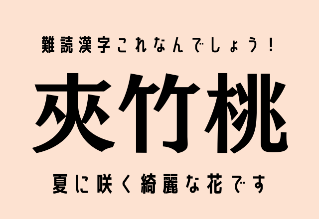 難読漢字これなんでしょう 夾竹桃 夏に咲く綺麗な花です Fundo
